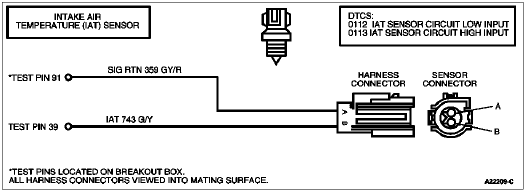 Intake Air Temperature (IAT) Sensor